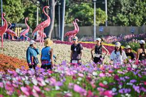 BIB: 
                            <button type="button" onclick="openModal(27798765)" class="btn btn-primary btn-sm float-right btn-popup" data-toggle="modal" data-target=".modal-high-quality">
                        <i class="fas fa-shopping-cart"></i> Add to Cart
                    </button>
                                            <button type="button" onclick="isThisMe(27798765, true)" class="btn btn-success btn-sm float-right btn-popup btn-isme hidden" data-toggle="tooltip" data-placement="bottom" title="นี่คือรูปของคุณใช่ไหม คลิกที่นี่เพื่อเอาเข้าอัลบั้ม">
                        <i class="fas fa-plus"></i> Add to album
                    </button>
                    <button type="button" onclick="isThisMe(27798765, false)" class="btn btn-warning btn-sm float-right btn-popup btn-isnotme hidden">
                        <i class="fas fa-ban"></i> Remove from album
                    </button>